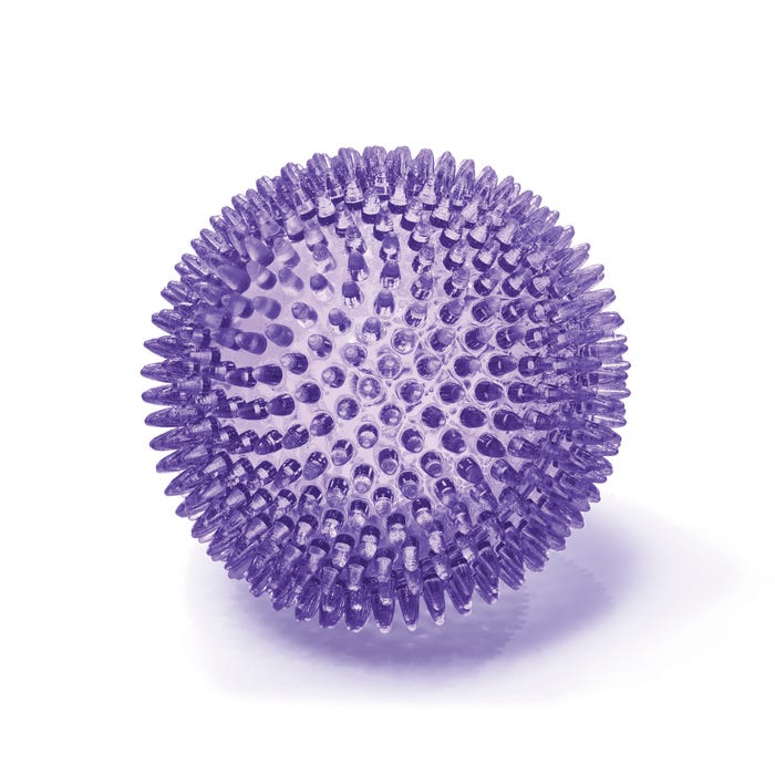 Kazoo Dog Tough Chewing Space Balls L