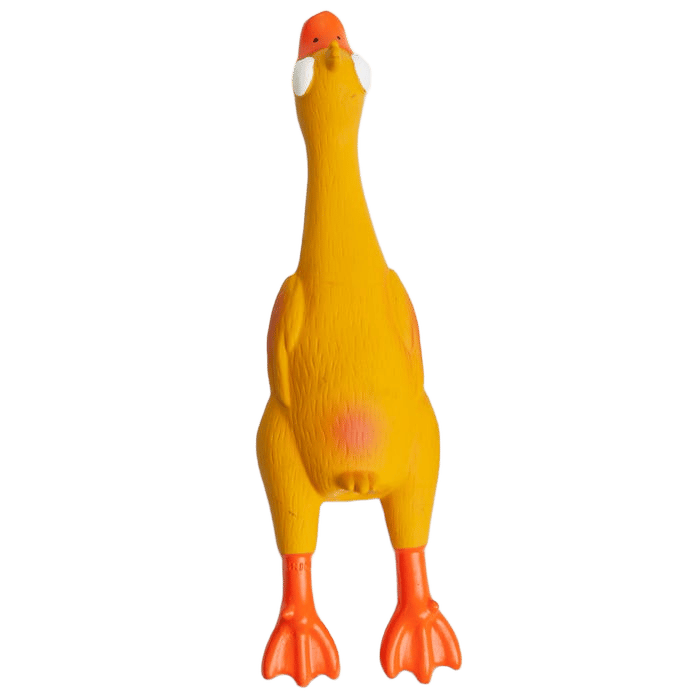 Kazoo Dog Dozy Duck M
