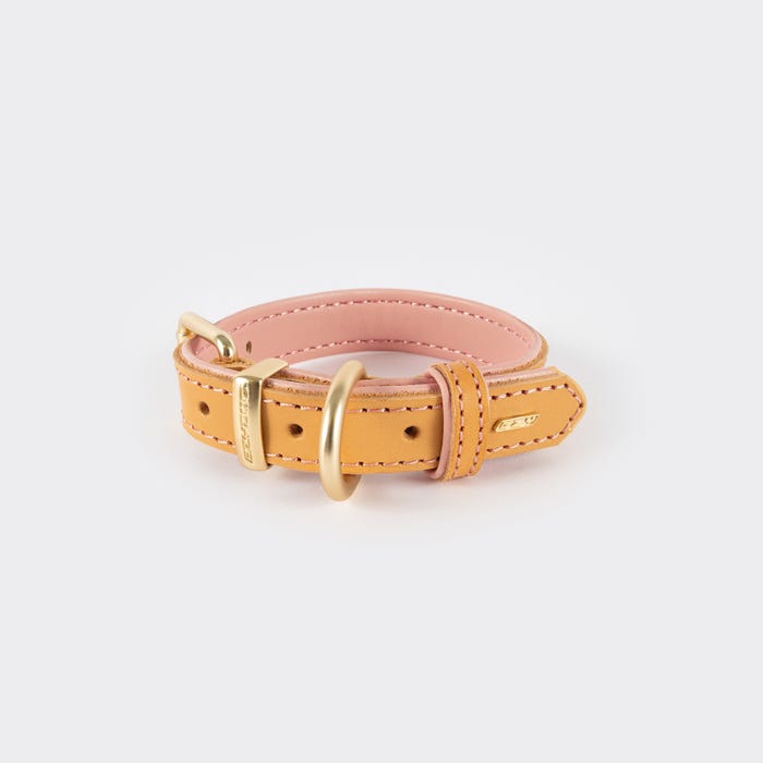 Ezydog Collar Oxford Blush Small
