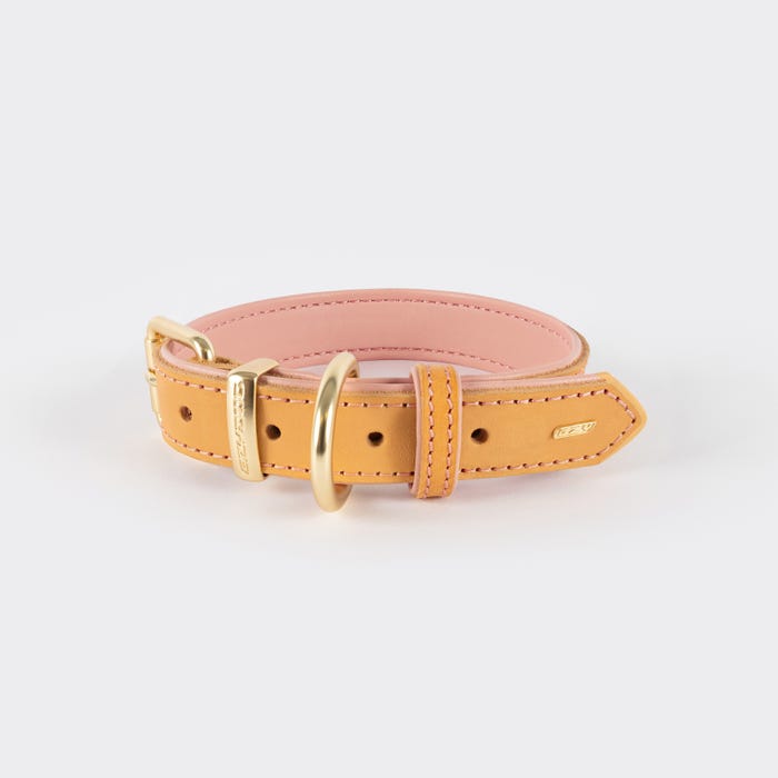 Ezydog Collar Oxford Blush Extra Large