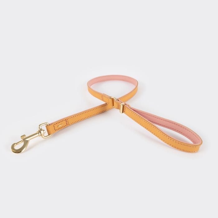 Ezydog Lead Oxford Blush 106cm