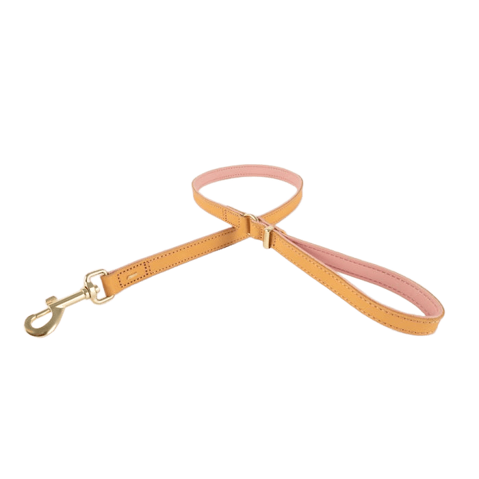 Ezydog Lead Oxford Blush 106cm