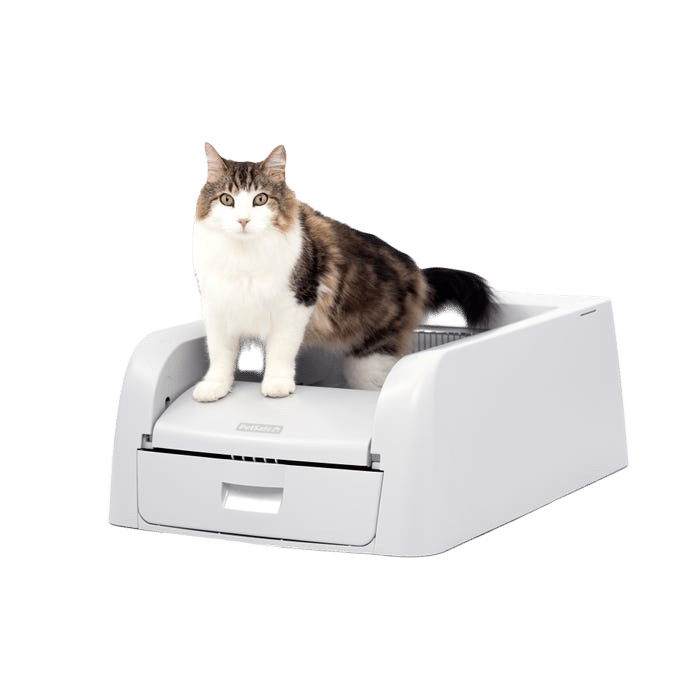 Petsafe® Scoopfree® Clumping Self-Cleaning Litter Box