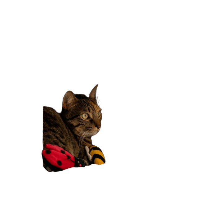 Zippyclaws Cat Toy Ladybug And Bee 2pack