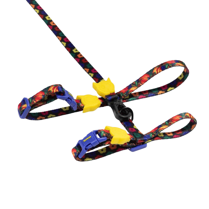 Zeecat Harness And Lead Set Samba