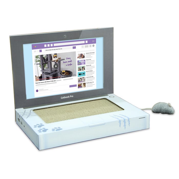 Kazoo Cardboard Catbook Pro Laptop