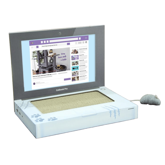 Kazoo Cardboard Catbook Pro Laptop
