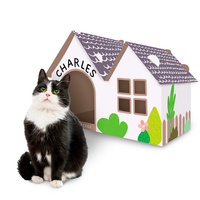 Kazoo Cardboard Cottage House