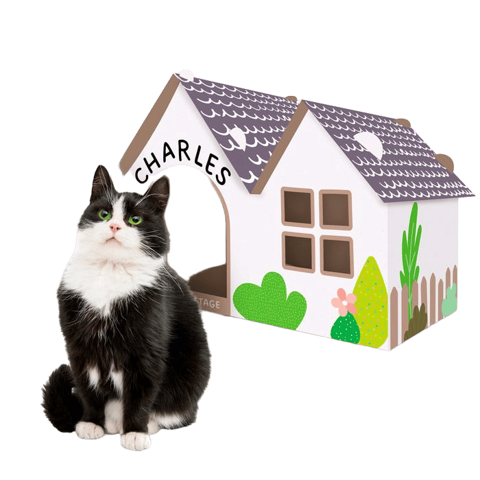 Kazoo Cardboard Cottage House