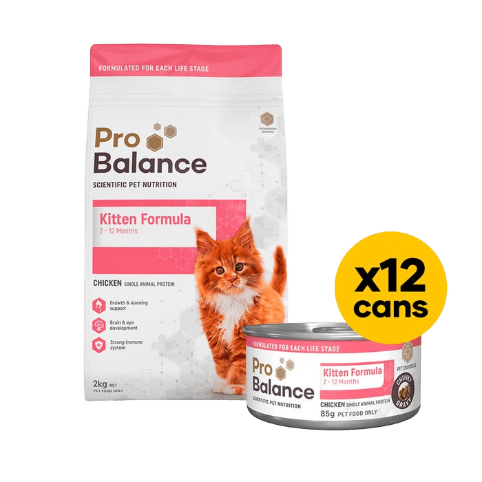 Probalance Kitten 2kg Dry & Wet Bundle Chicken Gravy