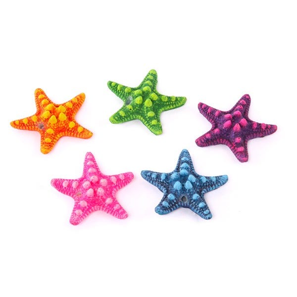 Kazoo Starfish Assorted Mini