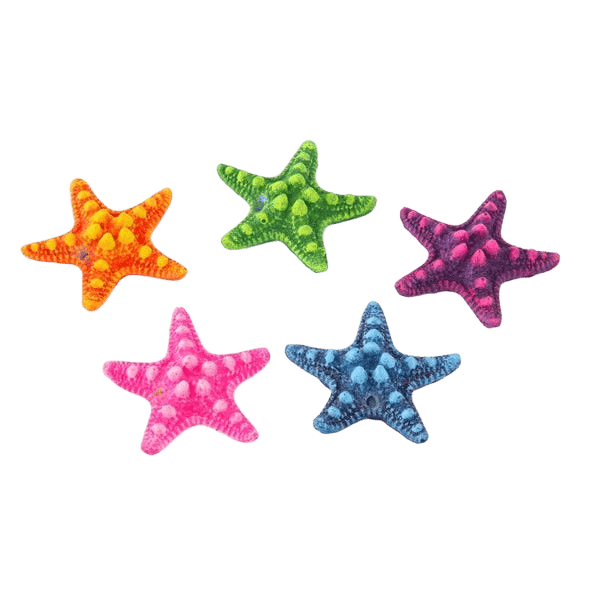 Kazoo Starfish Assorted Mini