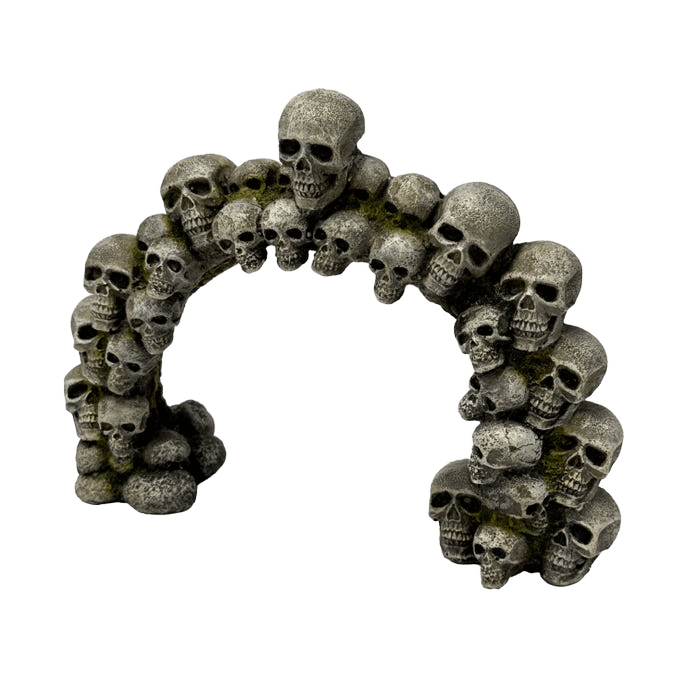 Kazoo Skull Arch Big