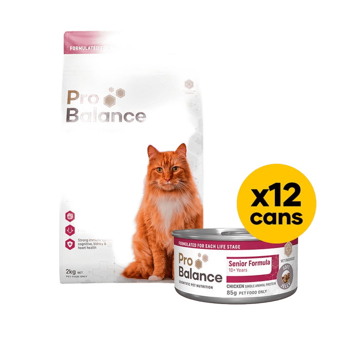 Probalance Cat Senior 2kg Wet & Dry Bundle Chicken Jelly