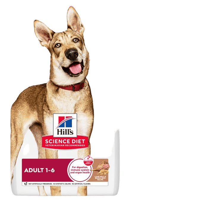 Hill's Science Diet Adult Lamb Meal & Brown Rice Dry Dog Food 14.9kg