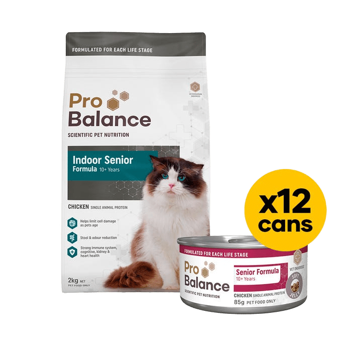 Probalance Cat Senior Indoor 2kg Wet & Dry Bundle Chicken Jelly