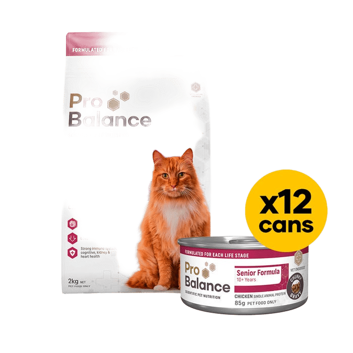 Probalance Cat Senior 2kg Wet & Dry Bundle Chicken Gravy