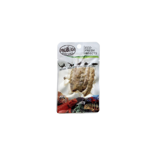 Pro Bugs Silkworm 5pk
