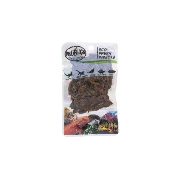 Pro Bugs Black Soldier Fly Larvae 20g