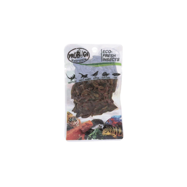Pro Bugs Black Soldier Fly Larvae 20g