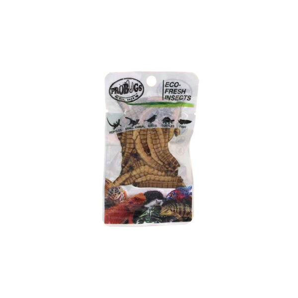 Pro Bugs Superworm 20g