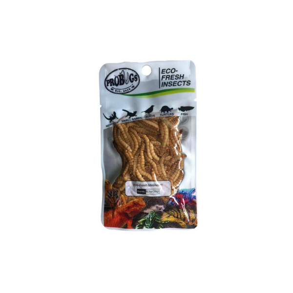 Pro Bugs Mealworm 20g