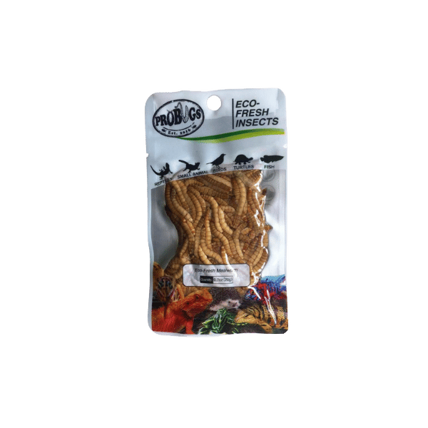 Pro Bugs Mealworm 20g
