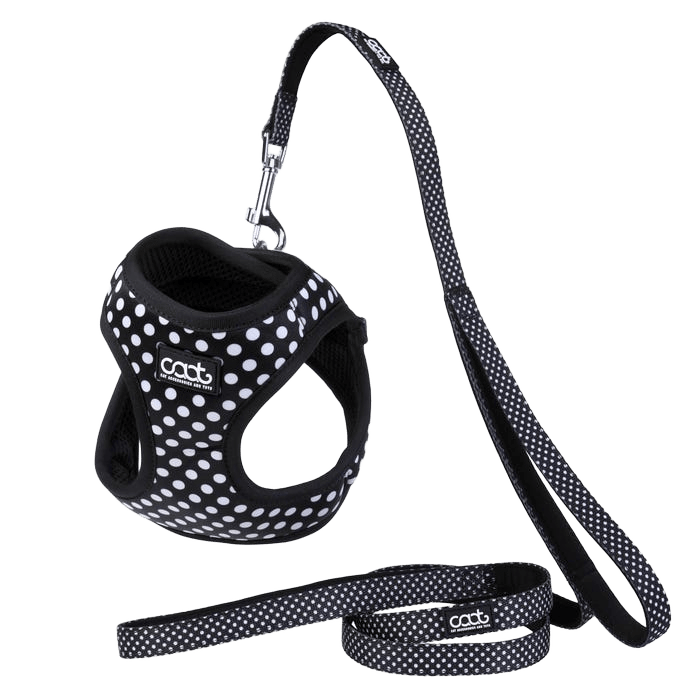Caat Kitten Harness And Lead Combo Pongo