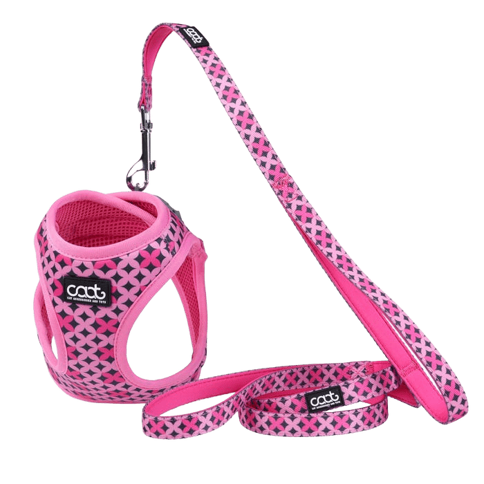 Caat Harness And Lead Combo Toto