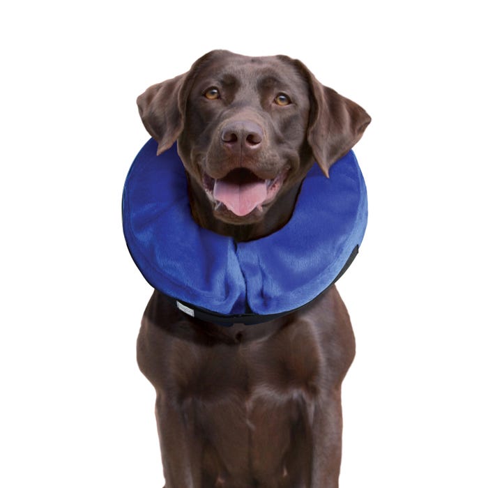 Kong Dog Collar Cloud Large