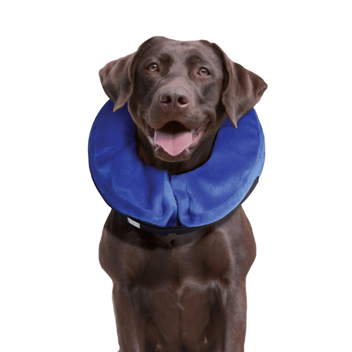 Kong Dog Collar Cloud Large