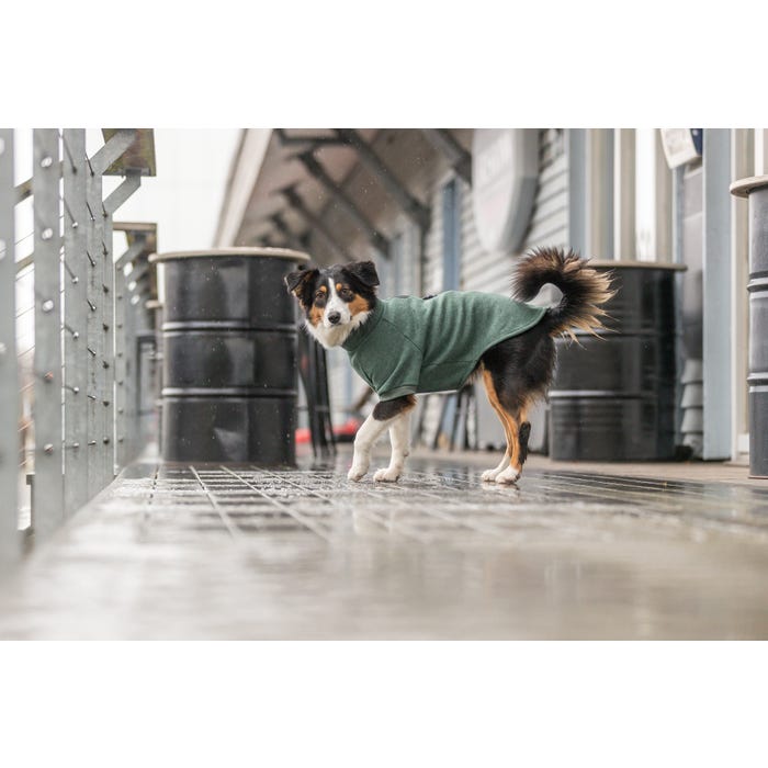 Trixie Sweatshirt Amsterdam Dark Green L-55cm