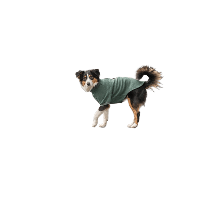 Trixie Sweatshirt Amsterdam Dark Green L-55cm
