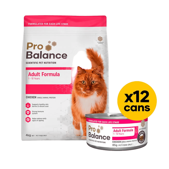 Probalance Cat 4kg Wet And Dry Bundle Gravy