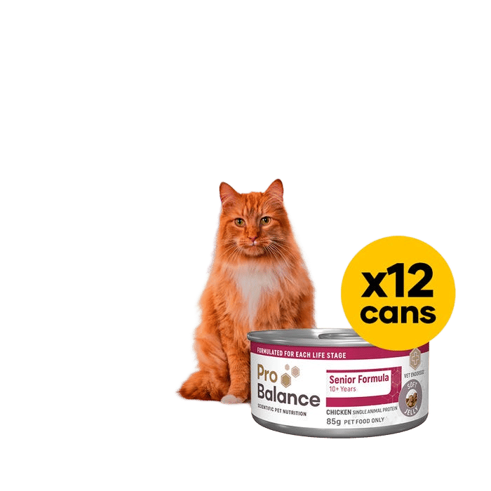 Probalance Cat Senior 4kg Dry & Wet Jelly Bundle