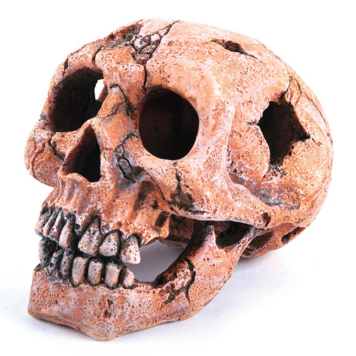 Kazoo Skull Medium