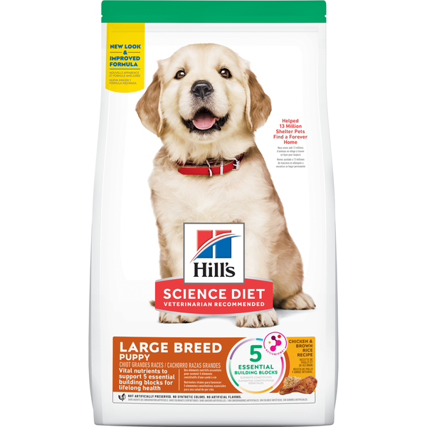 Science Diet Large Breed Puppy