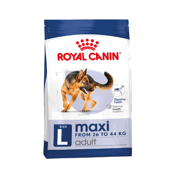 Maxi Adult Dog