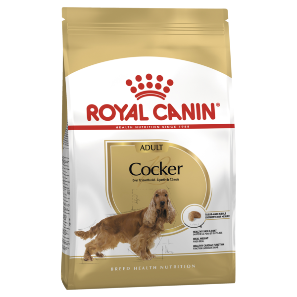 Cocker Spaniel