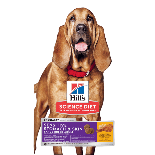 Science Diet Sensitive Stomach & Skin Large Breed