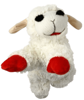 Lamb Chop