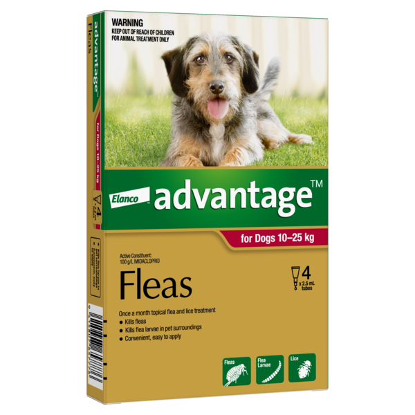 Advantage Large Dog 10-25kg