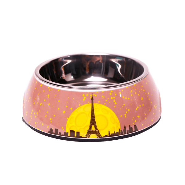 Paris Night Sky Bowl