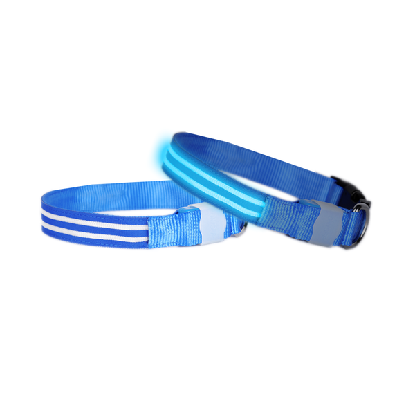 Led Dog Collar