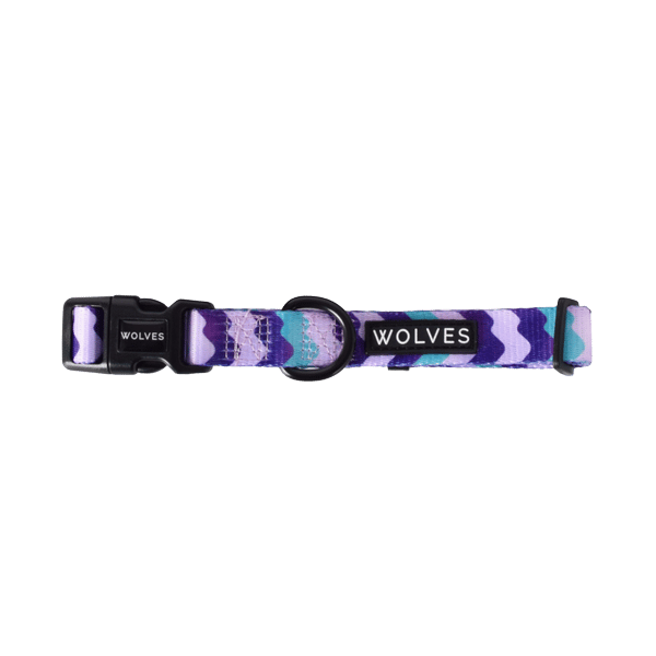 Sulley Dog Collar