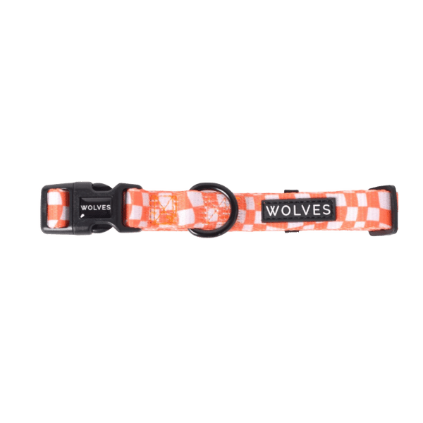 Benji Dog Collar