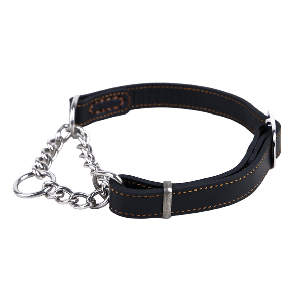 Leather And Chain Slip Collar