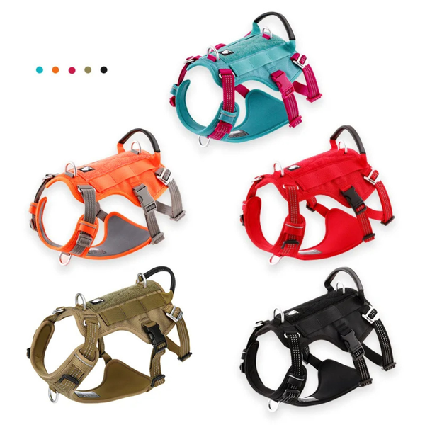 Tactical Harness