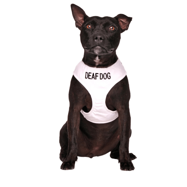 Deaf Dog Vest Harness