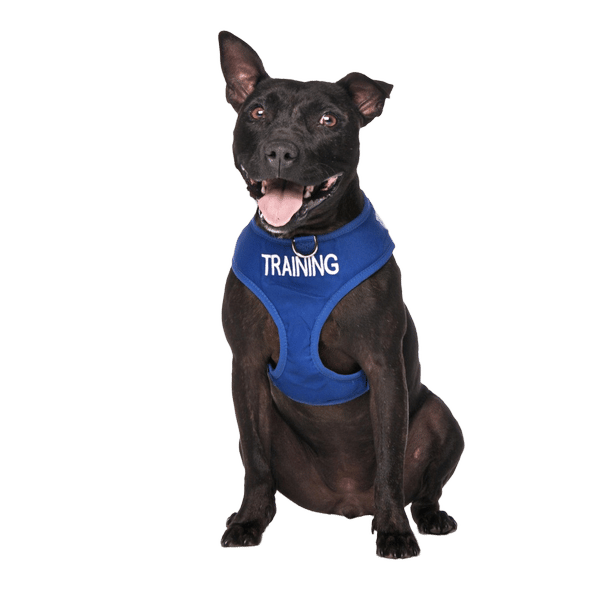 Training Dog Vest Harness